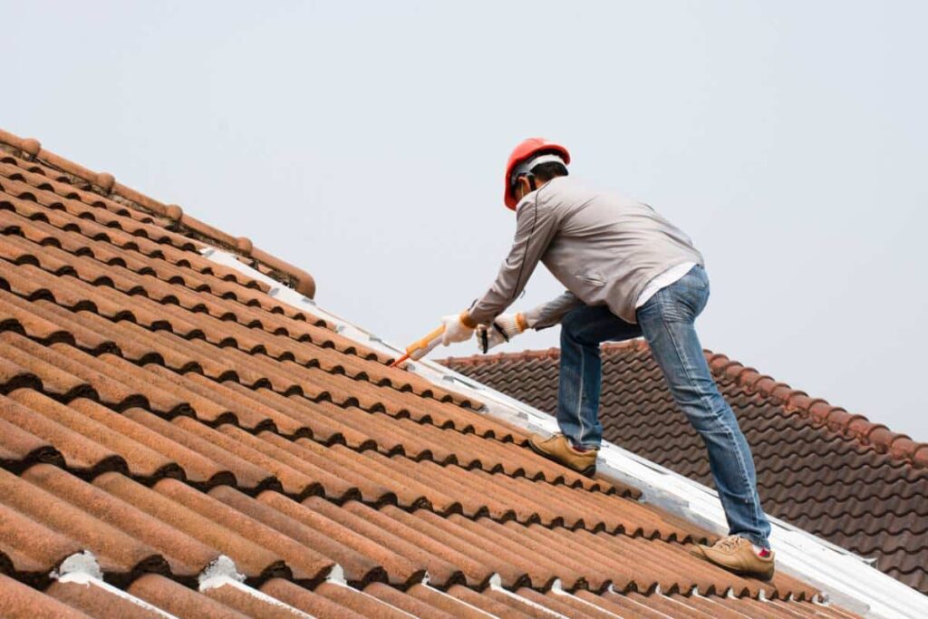 New Roofs