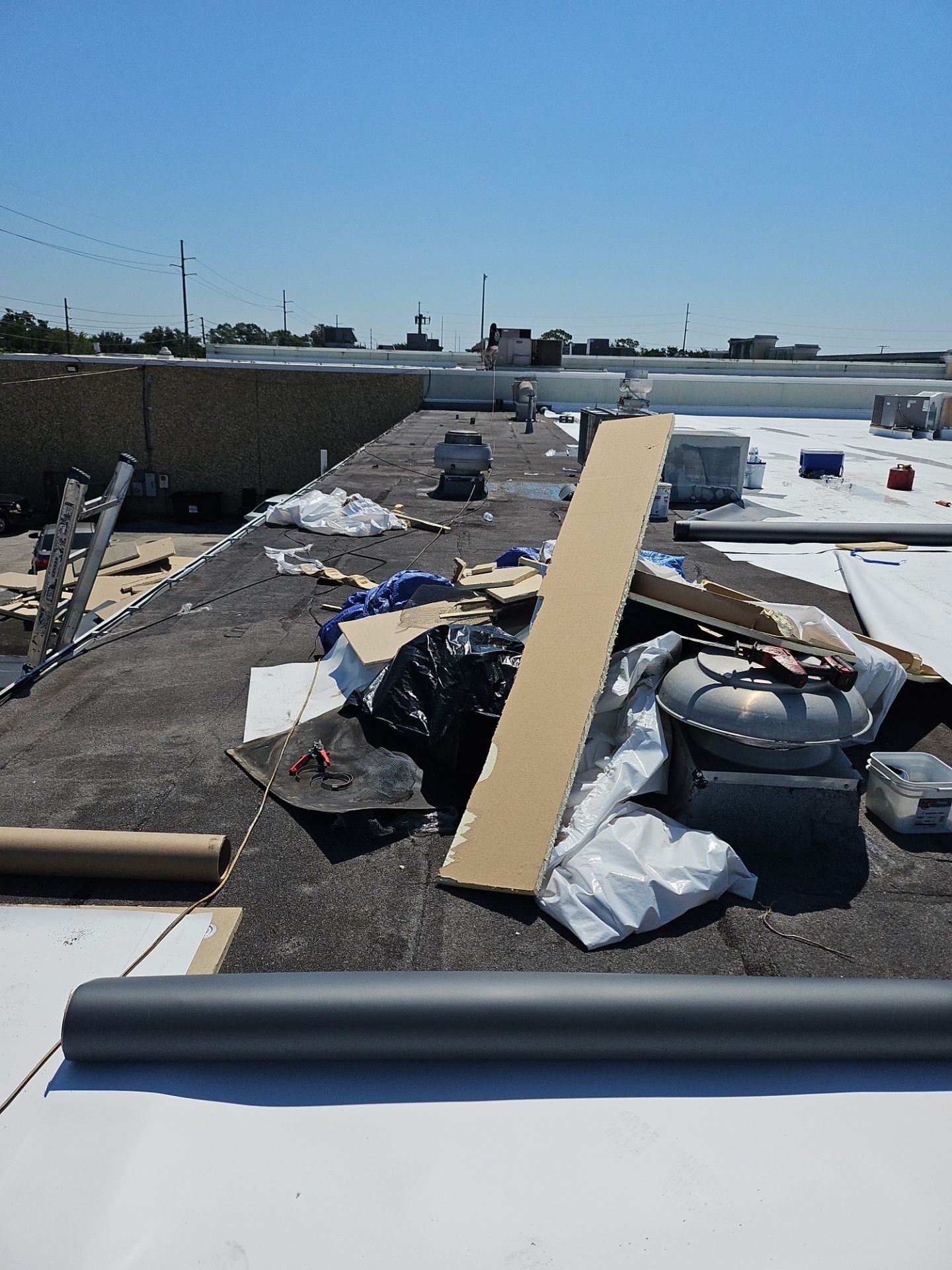 17-Jul 29 2025 11_21am-fMzZ