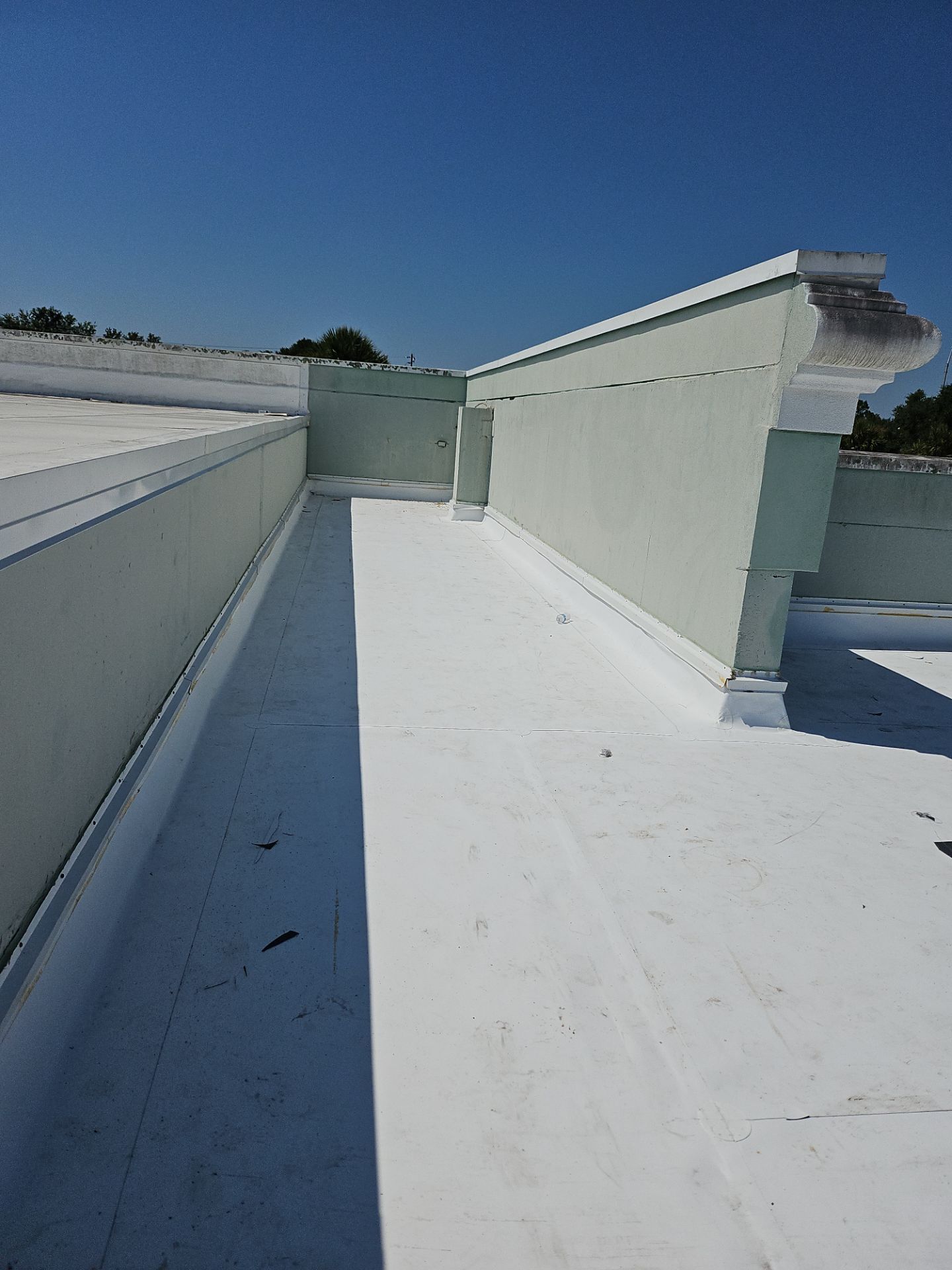 25-Jul 29 2025 11_22am-VWnx