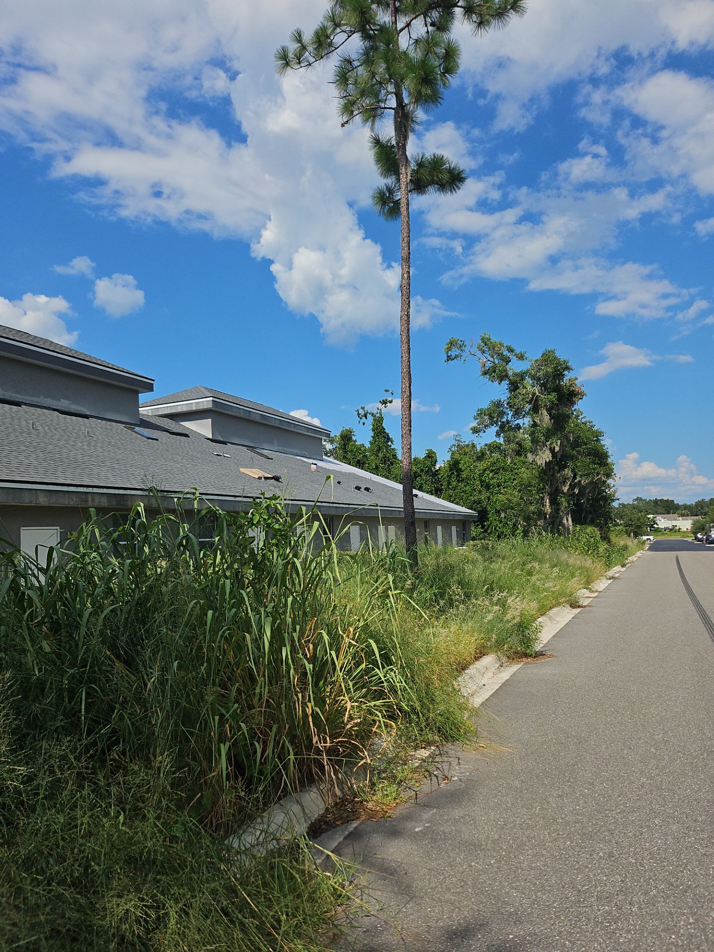 59-Jul 27 2025 04_42pm-6qqu