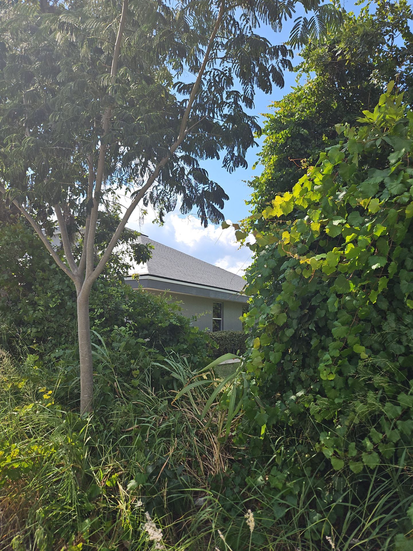 61-Jul 27 2025 04_43pm-Bjda